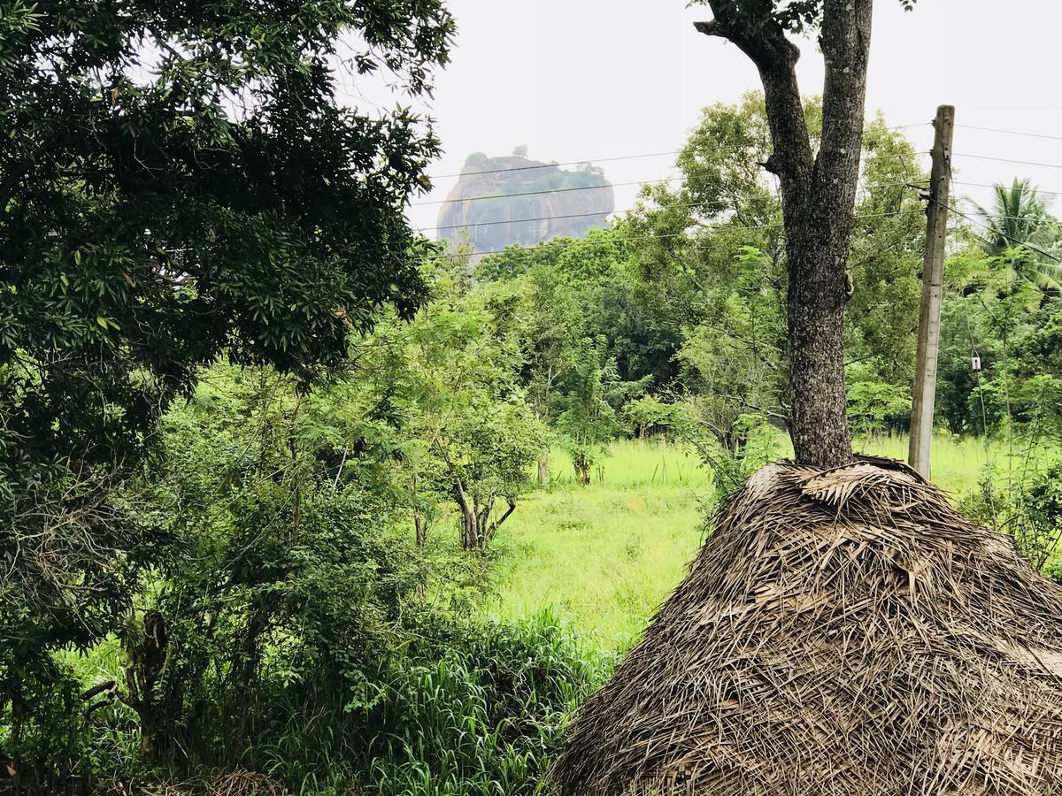 Sigiriya Rock Hide Hotel Luaran gambar