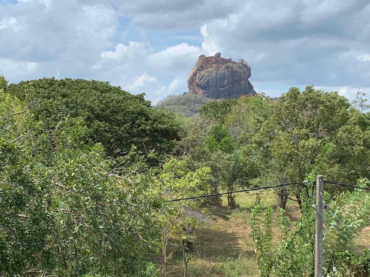 Sigiriya Rock Hide Hotel Luaran gambar