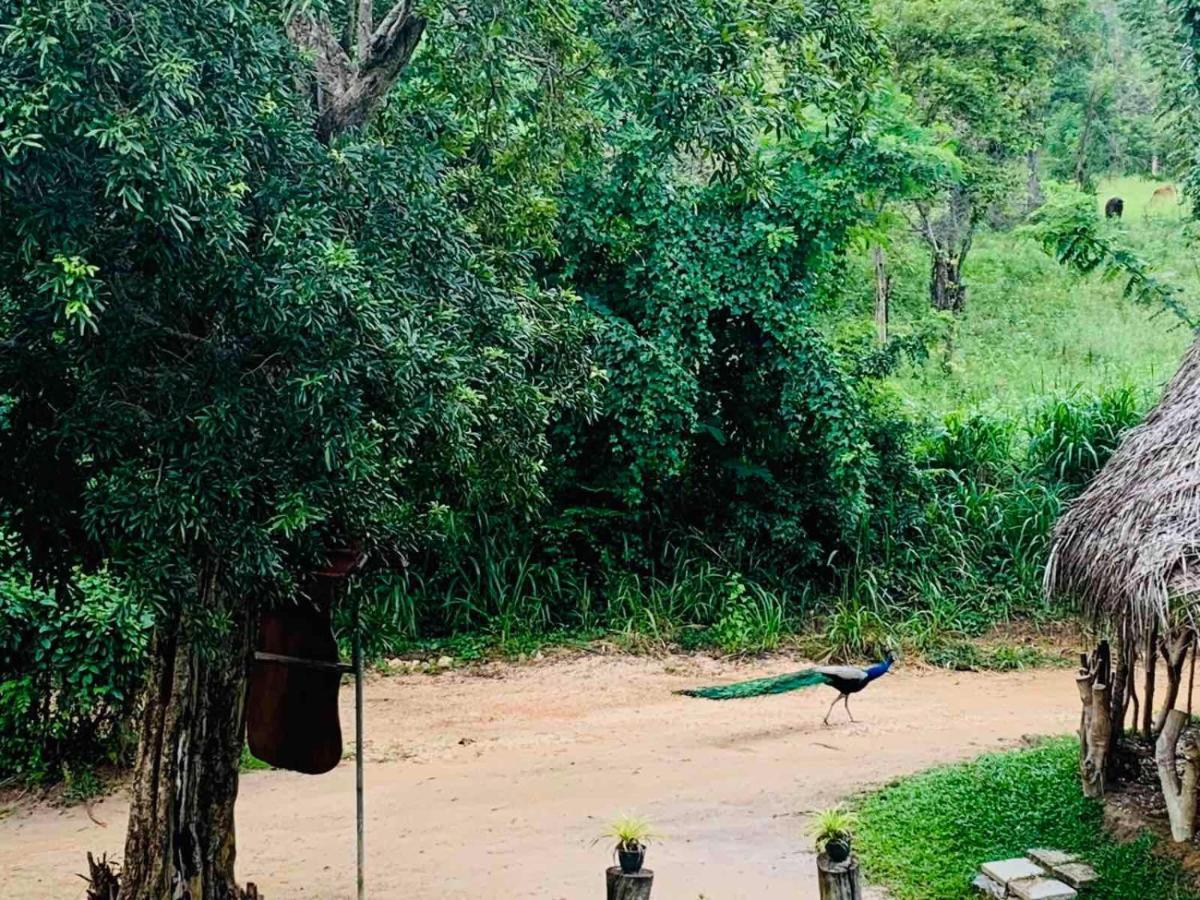 Sigiriya Rock Hide Hotel Luaran gambar